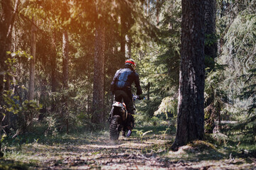 motorcycle racer on an enduro sports motorcycle rides through the forest in an off-road race in summer on a sunny day from the back - obrazy, fototapety, plakaty