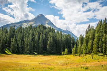 Fototapeta premium Landschaft