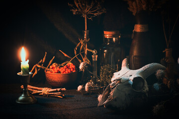 Samhain night. Witchs altar with goats skull, burning candle, dry herbs and magic vessels in the...