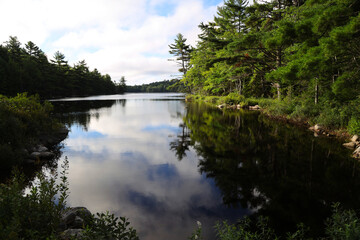 Image from Kejimkujik National Park, Canada