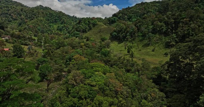 Los Naranjos Panama Aerial v4 low level flyover dense lush green jungle forest in rural countryside capturing hillside greenhouse plantation against mountainscape - Shot with Mavic 3 Cine - April 2022