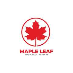 Fototapeta na wymiar Maple leaf logo design vector