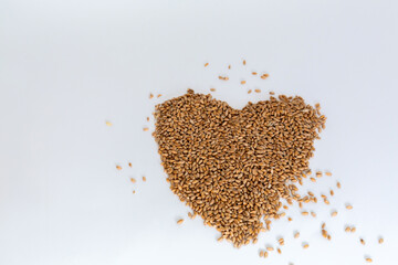 Grains wheat heart shape. White background.