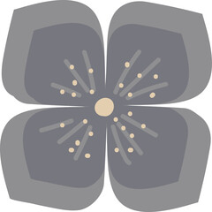 Boho Flowers Illustration