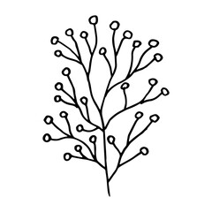 Doodle Vector stock illustration of meadow grass. Branch Wild dry herbal. Flower head
