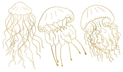 Golden outlines jellyfishes, isolated element for nautical sea wedding Illustration © katrinshine