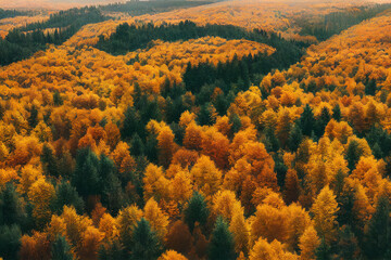 3d illustration, colorful autumn forest, drone shot angle