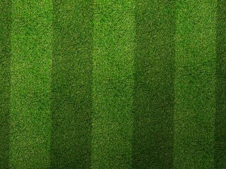 Realistic Grass Texture for Garden, Mockup, Sports and Football Pitch with Mowing Pattern