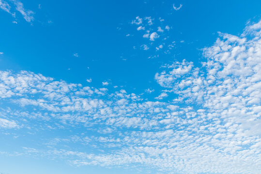 秋の空にうろこ雲