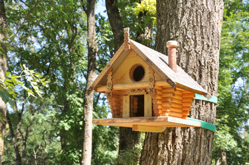 Beautiful wooden bird house in a rustic style on a tree close-up in a city park