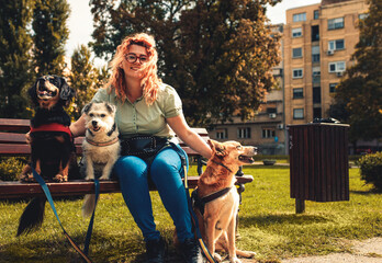 Female dog walker with dogs enjoying in city park.