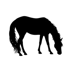 Horse Illustration