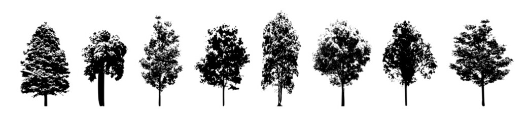 vector elements: tree sketches