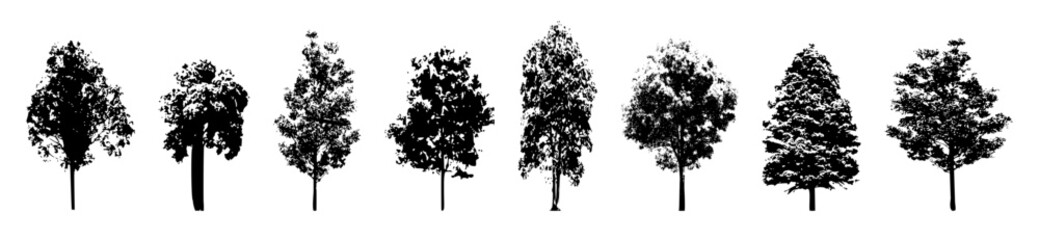 vector elements: tree sketches