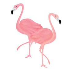 Pair of pink flamingos. Print with tropical birds for invitation, birthday, holiday, greeting card. 