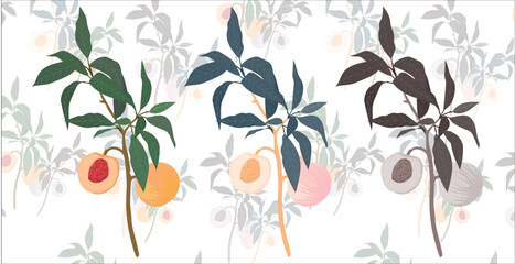Peach Branches Vector Illustration