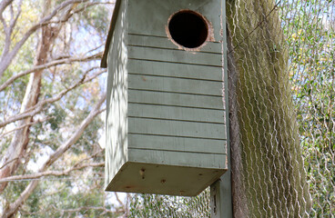 old bird nesting house on a tree
