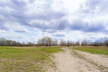 Fototapeta na wymiar Dirt Road through Green Fields, Spring Landscape. Trees in the background. Copy Space