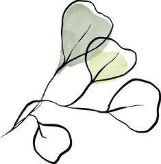 Leaf Watercolor Line Illustration
