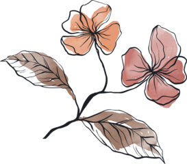 Leaf Watercolor Line Illustration