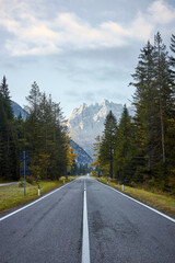 long road with trees and mountains