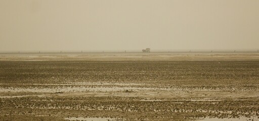 Wadden Sea of the North Sea near  Cuxhaven at low tide. the vastness of the mud and sand landscape,...