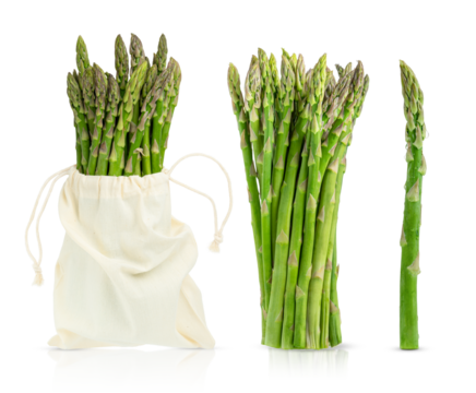Collection of green raw asparagus isolated on white background.