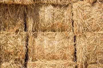 bales of hay close-up