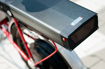 TOMATO, pomidor, pomidoty zielone, pomidor malinowy © Freshfanpage