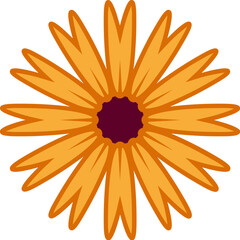 Flower for Decoration