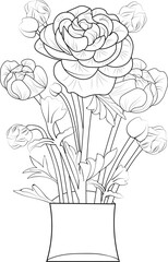 Hand drawn ranunculus, Buttercup,  roses branch of leaf vase collaction vector sketch illustration isolated on white background coloring book and page for adult 
