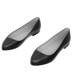 3d rendering illustration of ballerina shoes