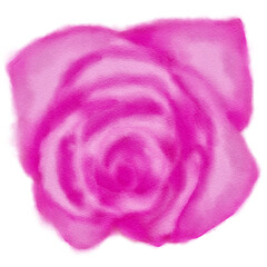 Fototapeta premium Watercolor Rose Flower for Decoration