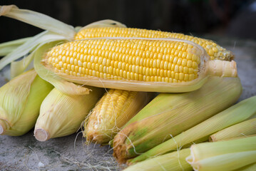 Fresh corn, sweet corn