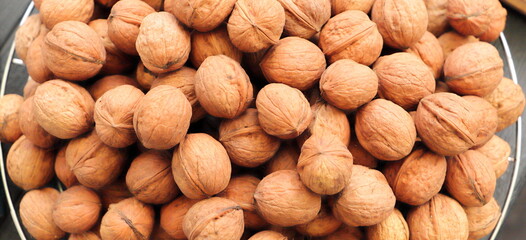 fresh walnuts are collected in the fall