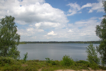 Typical landscape around Lake Reinders in Dutch National Park De Maasduinen; Bergen, Limburg, Netherlands