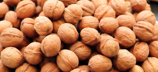 fresh walnuts are collected in the fall