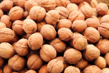 fresh walnuts are collected in the fall