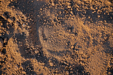 Ground close-up, earth texture for design. Agricultural field, eco-farming