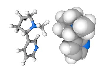 Molecular structure of nicotine. Atoms are represented as spheres with conventional color coding: carbon (grey), nitrogen (blue), hydrogen (white). 3d illustration