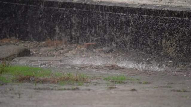 Water From Overflowing House Gutters Falls on the Outdoor Soil During a Heavy Rainfall