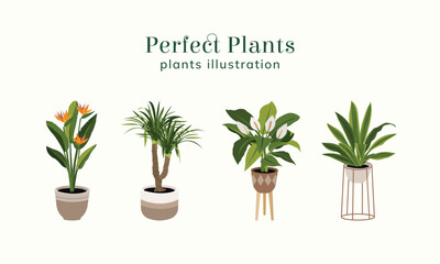 Fototapeta na wymiar Perfect Plants illustration