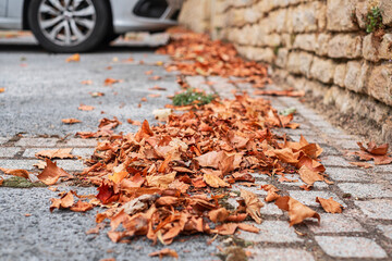 Dry autumn leaves on the paved road. Car parking on the background