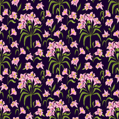 Vector floral pattern. Alstroemeria flowers. Seamless illustration on the black background
