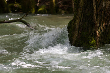 Water Torrent Detail of Stream Power