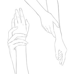 Woman Hands, Elegant female hands, Realistic Gestures, Line Art, Vector Illustration