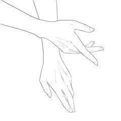 Woman Hands Delicate Rejuvenating, Elegant female hands, Realistic Gestures, Line Art, Vector Illustration