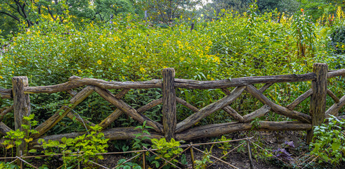 Shakespeare Garden in Central Park