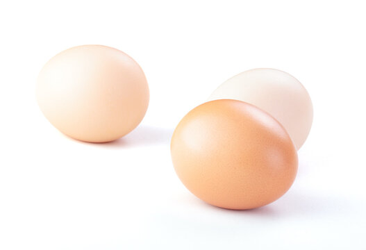 chickens egg isolated white background