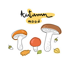 Line art Illustration of mushrooms, boletus, porcini mushrooms, boletus.Mushroom season. Autumn vibes. Autumn illustration for postcard, poster, book, notepad.